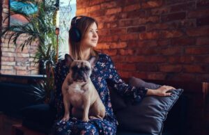 Маленькая черная собака во сне женщины