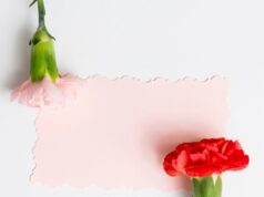 Гвоздика: значение цветка на языке цветов