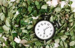 Статус: жизнь и время