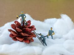 Ноябрьские и декабрьские стрельцы: отличия и особенности