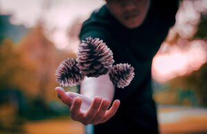 Шишки во сне: толкование для женщин