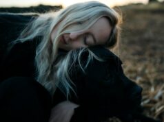 Черная гадюка во сне женщины: толкование