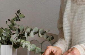 Торт без яиц в домашних условиях