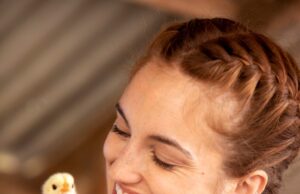 Толкование сна: сбор куриных яиц