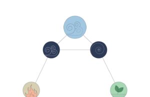 Расписание работы озона