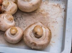 Можно ли замораживать сырые грибы шампиньоны