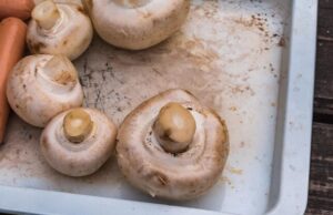 Можно ли замораживать сырые грибы шампиньоны