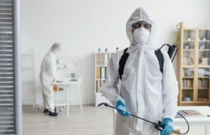 Дезинсекция: когда насекомые становятся угрозой