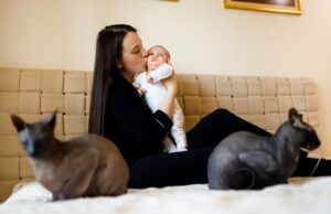 К чему снится котенок беременной женщине