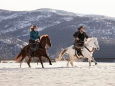 Котлование абыйны туган коней