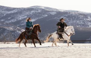 Котлование абыйны туган коней