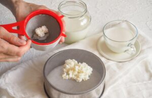 Творожный сыр из кефира: рецепт приготовления