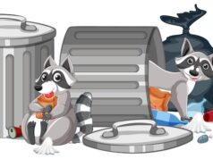 Сон о полном мусорном ведре: толкование