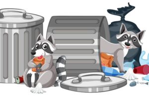 Сон о полном мусорном ведре: толкование