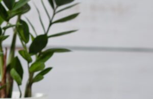 Надпись на кружке для любимого мужчины