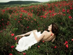 Толкование сна: Бутоны мака