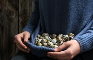 Толкование сна: Гусиные яйца для мужчин