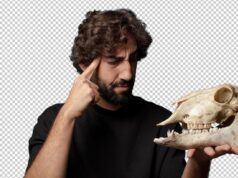 Приснился череп: толкование сна