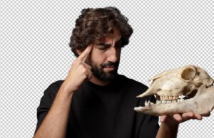 Приснился череп: толкование сна