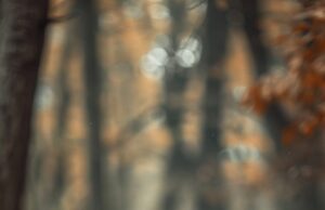 Мои сыновья — мои крылья