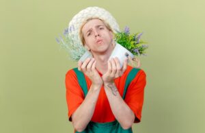 Мед во сне для незамужней женщины