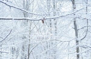 Январь в авто: сезонные особенности и советы
