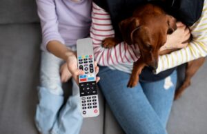 Прошивка Яндекс ТВ на телевизор