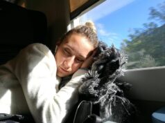 Сновидение: поездка на чужой машине