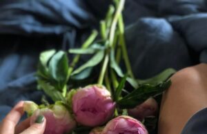 Романтические пожелания для прекрасной дамы