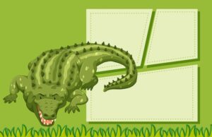 Игра «Крокодил»: Смешные слова для веселья