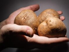 Заговор с картошкой от бородавок