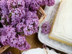 Рецепт бисквитного торта с творожным кремом