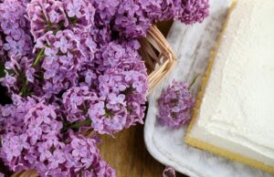 Рецепт бисквитного торта с творожным кремом