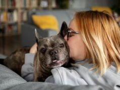 Сны о лае собак: толкование и значение