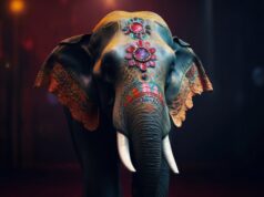 Слон как символ для женщин