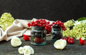 Рецепты из красной смородины