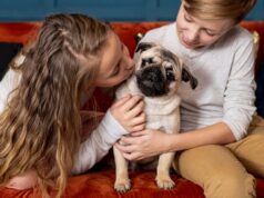 Собачий приют во сне: толкование и значение