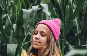 К чему снится сеять кукурузу