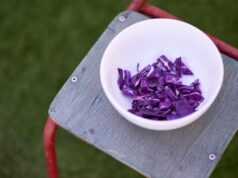 Тушение фиолетовой капусты: возможно ли это?