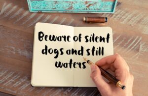 Умные статусы: размышления о жизни