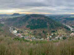 Транзит Венеры по 10 дому в Джйотиш