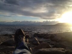 Приснился отлив на море: толкование сна