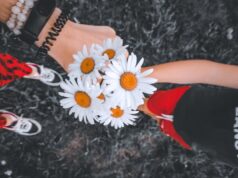 Гадание на ромашке онлайн: да или нет?