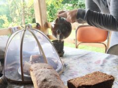 Ржаной хлеб в хлебопечке: простой рецепт