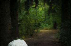 Как узнать о смерти человека