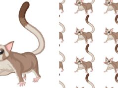 Хвост 18/9/9: Кармический смысл