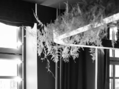 Толкование сна: черно-белые графии