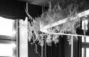 Толкование сна: черно-белые графии