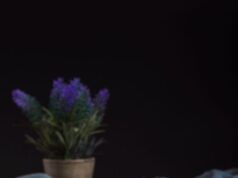 Десерты с рикоттой без выпечки