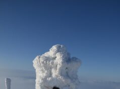 Сны о белом снеге: что они значат?